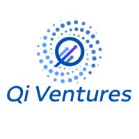 Qi Venture Capital Partners Pvt Ltd